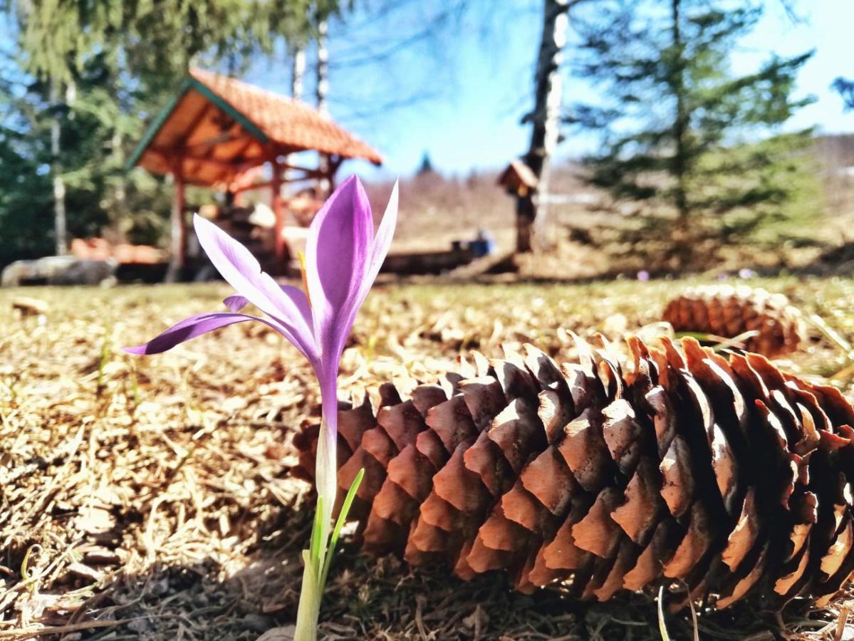 Villa Sunny Hill Kuca Za Odmor Na Zlataru Vukovina Esterno foto