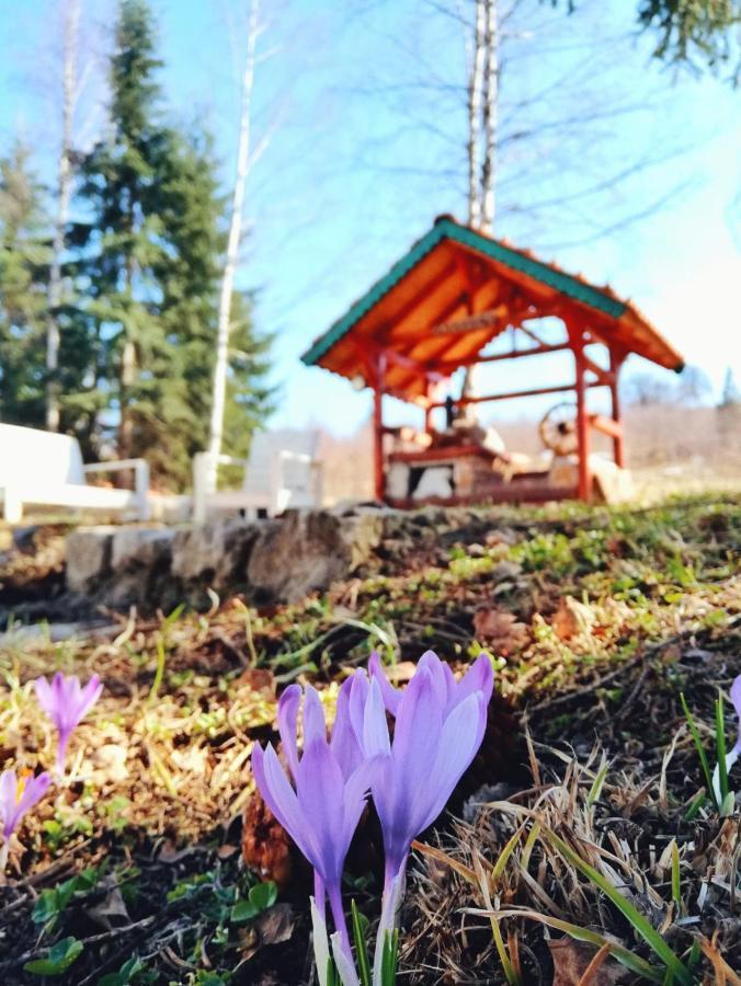 Villa Sunny Hill Kuca Za Odmor Na Zlataru Vukovina Esterno foto